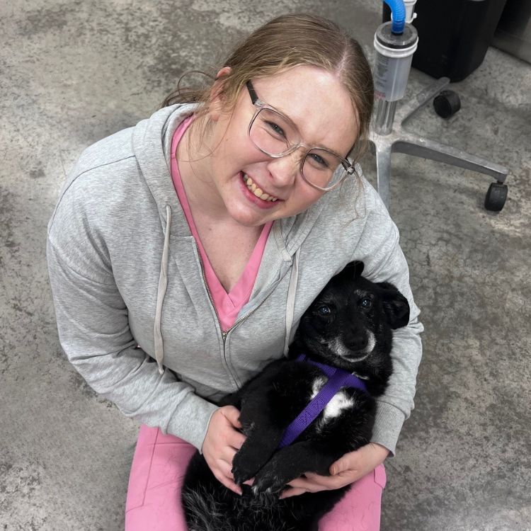 MAC Animal Hospital Vet Staff holding a dog corner of modern building