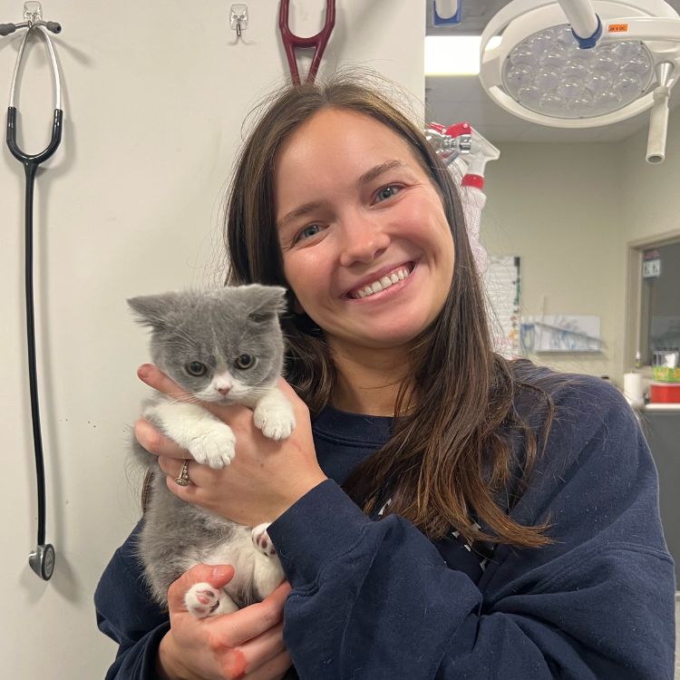 corner of modern building