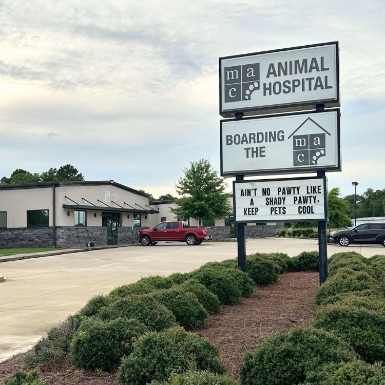 corner of modern building