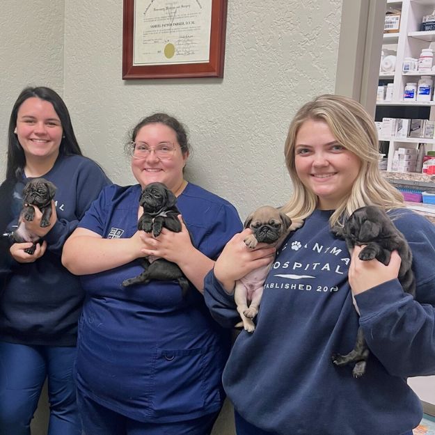 corner of modern building