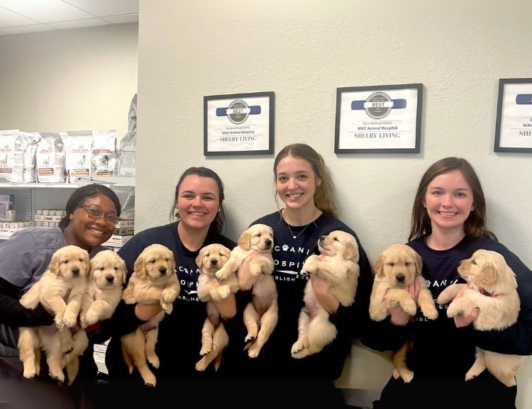 corner of modern building