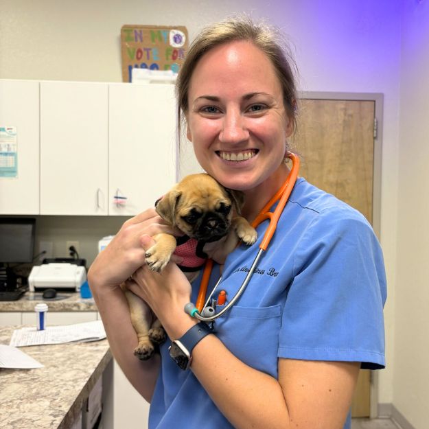 corner of modern building