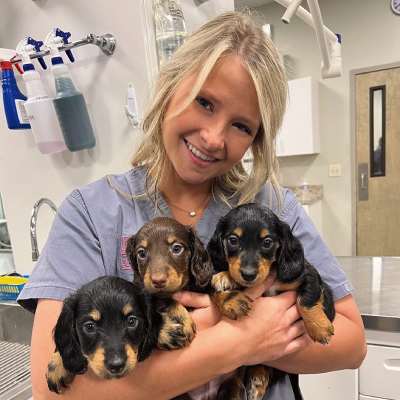 Brooke Smith Brooke Smith