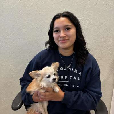 Samanta Vazquez Samanta Vazquez