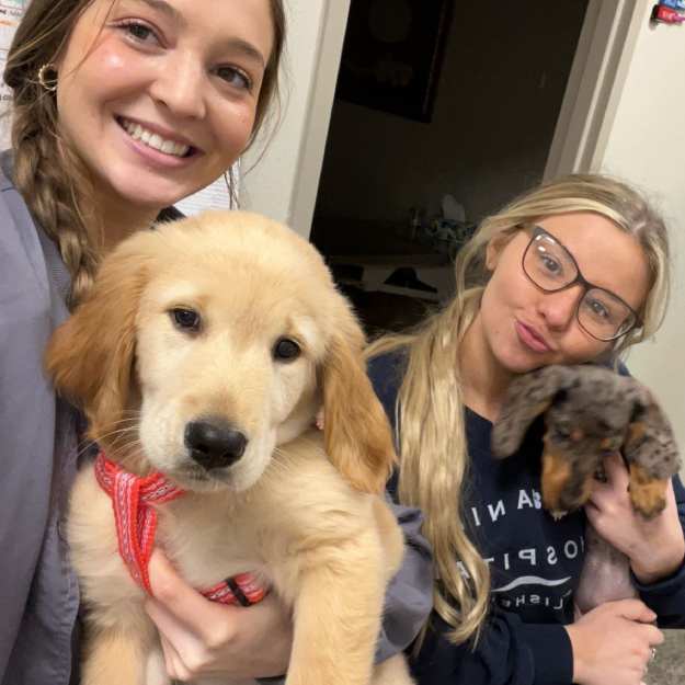 MAC Animal Hospital staff holding puppies corner of modern building