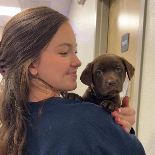 MAC Animal Hospital staff holding puppies corner of modern building