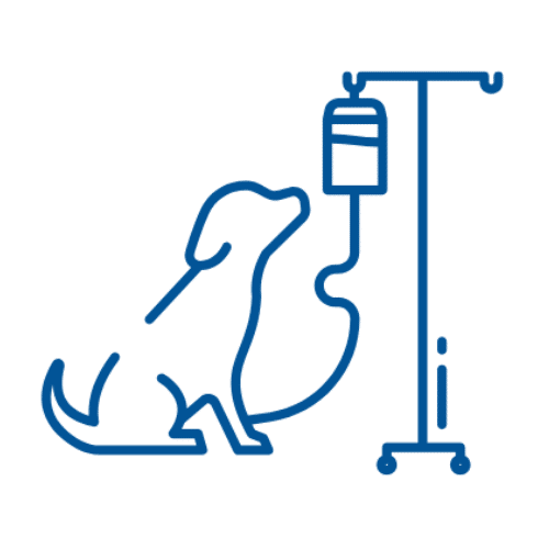 Pet Surgery Icon