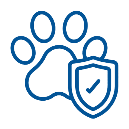 Pet Vaccination Icon