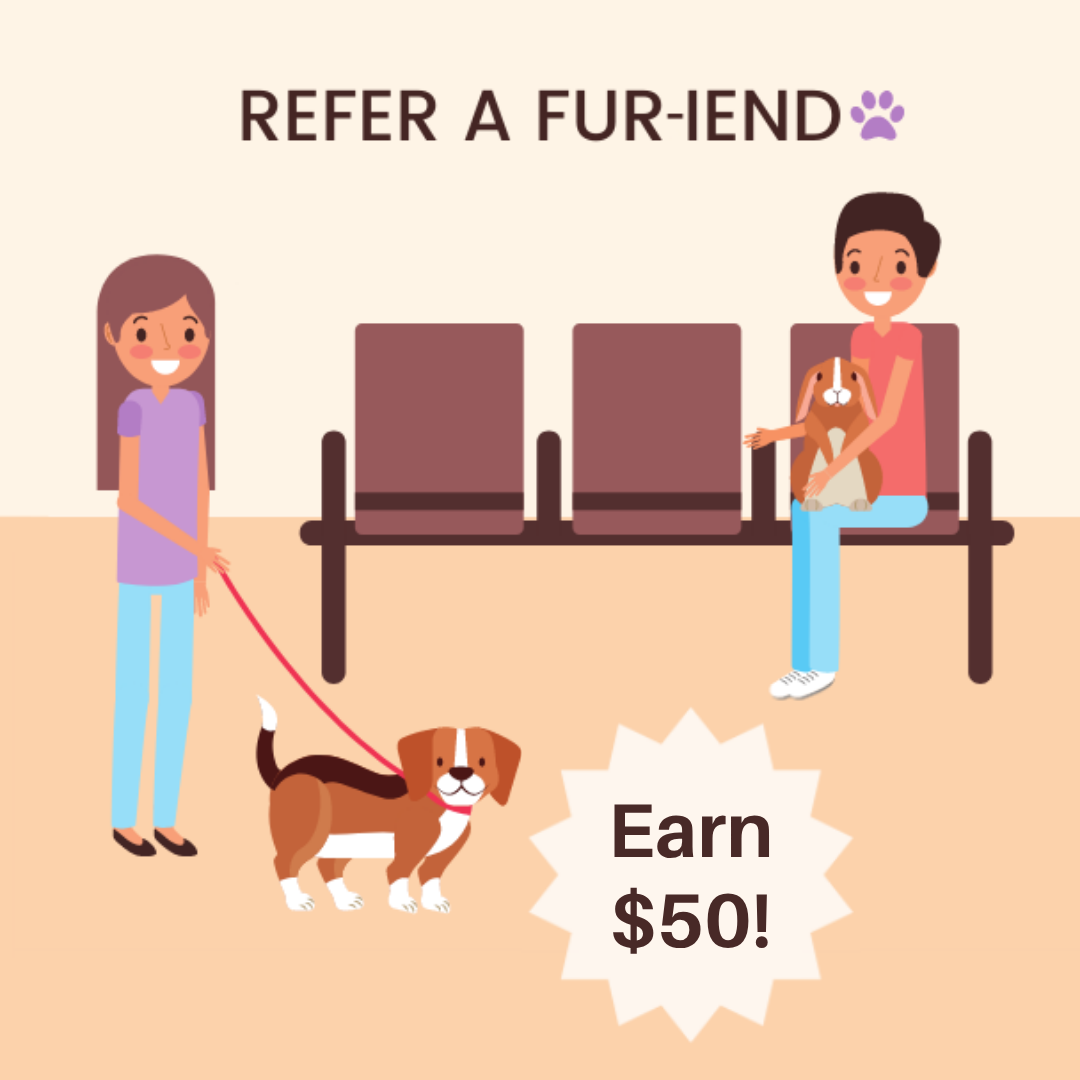 Fur-iends Social Graphics (40) A woman in camouflage clothing lovingly hugs her fluffy tan dog while sitting on a couch near a bright window.